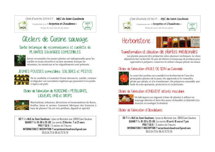 MJC Saint Gaudinois 2016-2017 p2